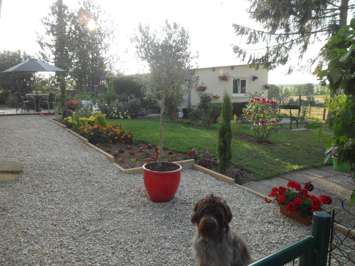 O Bout D'La Motte Apartment Voillecomte Bagian luar foto
